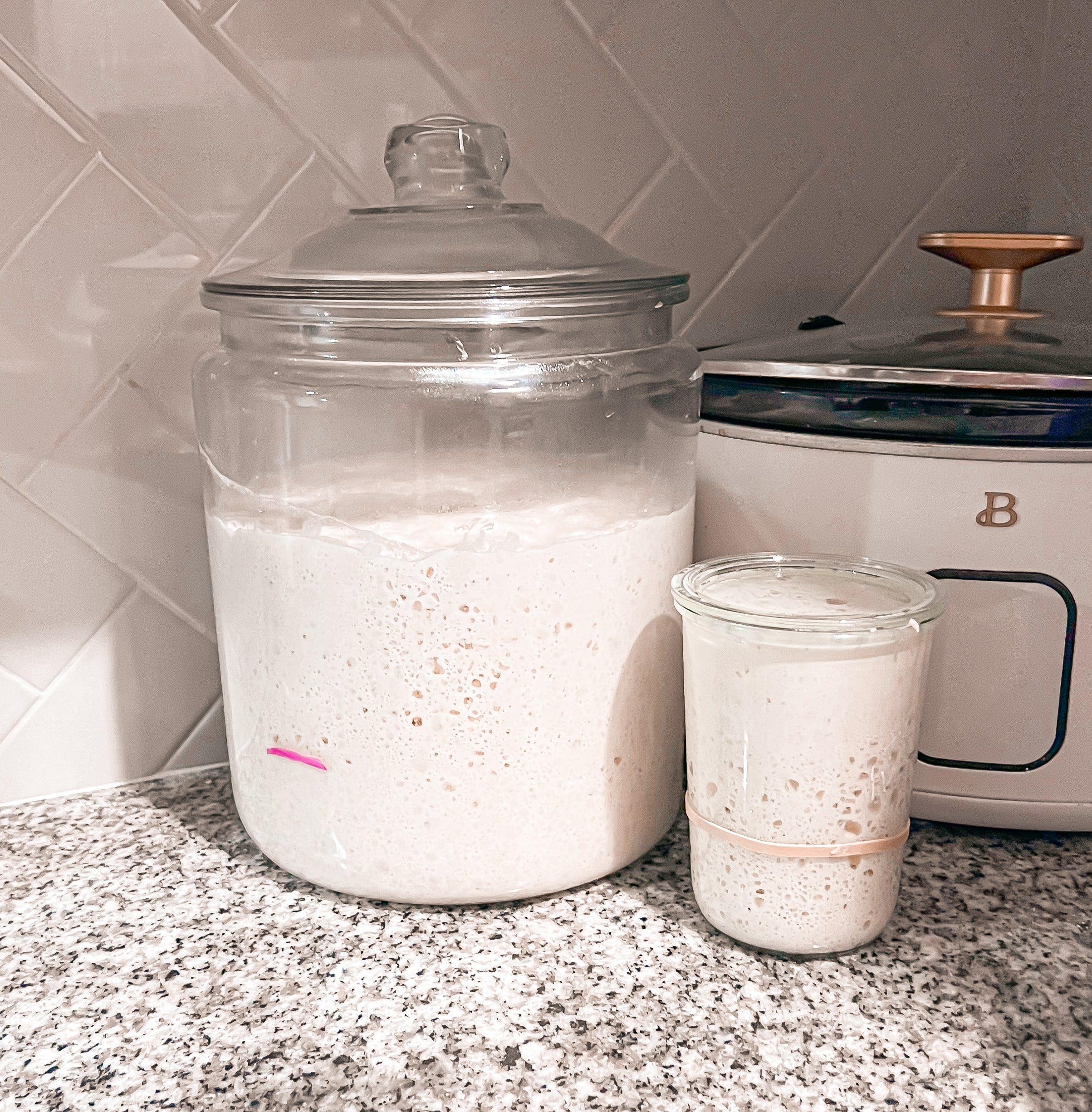 “Rosie” the Dehydrated Sourdough Starter